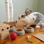 Brinquedos-para-coelhos-caseiros